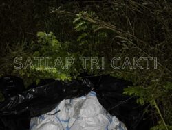 Satlap Tri Cakti dan Satgas Gabungan Berhasil Gagalkan Upaya Penyelundupan 1.040 KG Bijih Timah Ilegal di Pantai Kelambui, Bangka Selatan