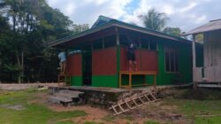 Rehab rumah milik Bapak Herman capai 80 persen, Satgas TMMD ke-129 Kodim 1807/Sorong Selatan hadirkan harapan baru bagi warga
