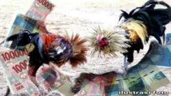 Dugaan Sabung Ayam di Tiga Kecamatan Kediri Jadi Ujian Serius Bagi Ketegasan Aparat