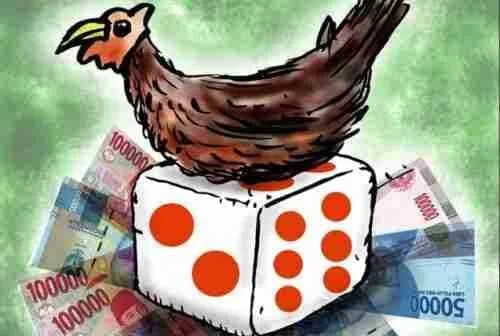 Arena Diduga Jadi Tempat Sabung Ayam dan Dadu, Masyarakat Tunggu Ketegasan Penegak Hukum