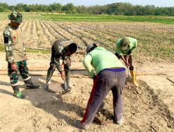 Pacu Ekonomi Pedesaan: Satgas TMMd 129 Bojonegoro Bangun Lapak PKL di Rest Area Kesongo