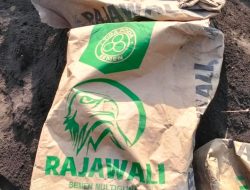 P3-TGAI Patalan Dipertanyakan, Sejauh Mana Kepala Desa Mengawasi Proyek Rp195 Juta?