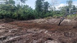 TMMD Ke-129 Tuntaskan Pembukaan Lahan 1 Hektar, Siap Ditanami untuk Perkuat Ketahanan Pangan Kampung Sesor