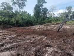 TMMD Ke-129 Tuntaskan Pembukaan Lahan 1 Hektar, Siap Ditanami untuk Perkuat Ketahanan Pangan Kampung Sesor