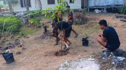 TMMD Ke-129 Kodim 1807/Sorsel Dorong Ketahanan Pangan, TNI Bersama Warga Bangun Kemandirian Pangan di Kampung Sesor