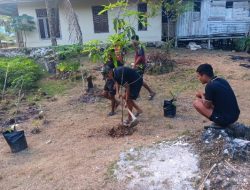 TMMD Ke-129 Kodim 1807/Sorsel Dorong Ketahanan Pangan, TNI Bersama Warga Bangun Kemandirian Pangan di Kampung Sesor