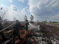 TNI Kerahkan 14.167 Personel Tangani Karhutla di Sejumlah Wilayah