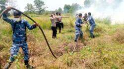 Komandan Lanud Sjamsudin Noor Pimpin Langsung Pemadaman Kebakaran Hutan dan Lahan di Kalimantan Selatan