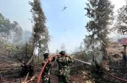 Padamkan Bara di Balik Gambut, Satgas Darat Lanud Sjamsudin Noor Jaga Permukiman Dari Ancaman Karhutla