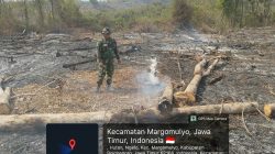 Aksi Cepat Tanggap! Babinsa Margomulyo Sisir Bekas Karhutla, Pastikan Api Benar-Benar Padam