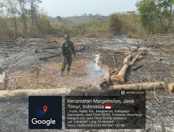 Aksi Cepat Tanggap! Babinsa Margomulyo Sisir Bekas Karhutla, Pastikan Api Benar-Benar Padam
