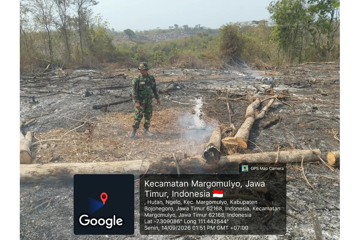 Aksi Cepat Tanggap! Babinsa Margomulyo Sisir Bekas Karhutla, Pastikan Api Benar-Benar Padam