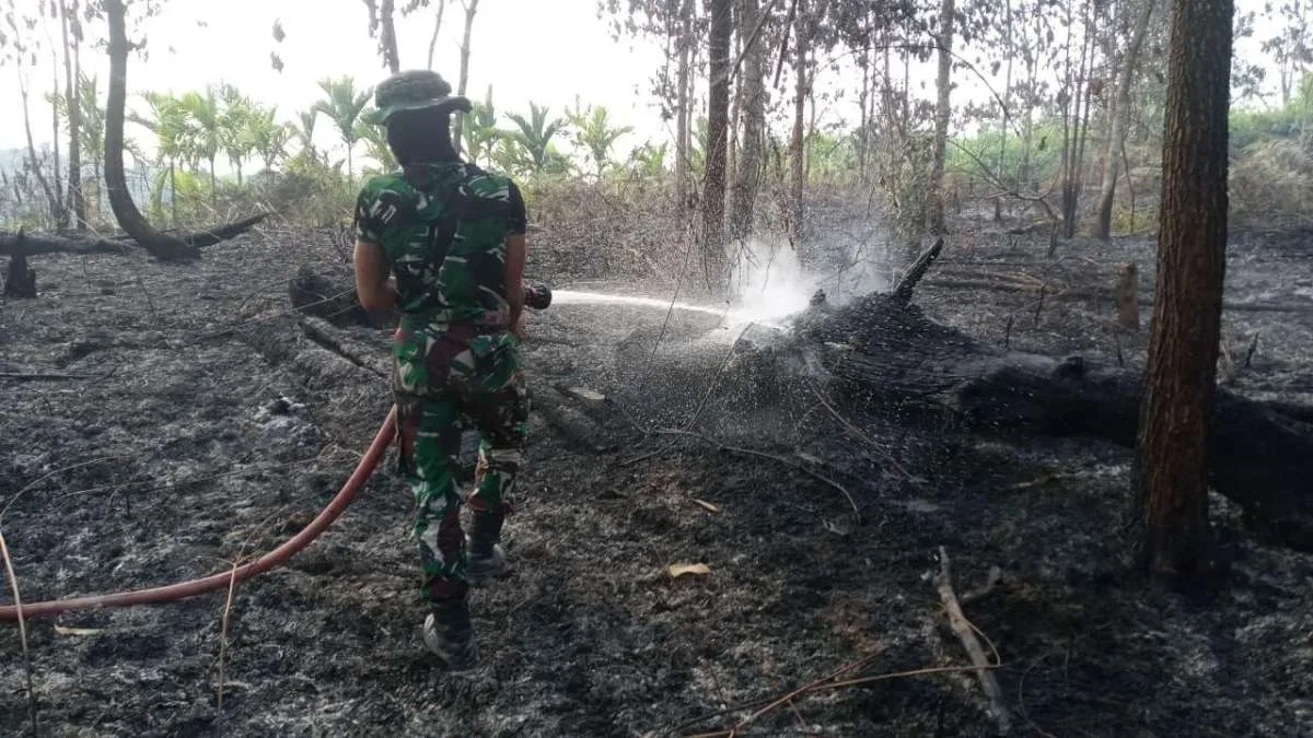 TNI Kerahkan Personel dan Heli Caracal Perkuat Penanganan Karhutla di Wilayah IKN