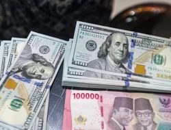 Minat Produk USD Meningkat, Proteksi di Era Global Makin Dibutuhkan