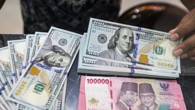 Minat Produk USD Meningkat, Proteksi di Era Global Makin Dibutuhkan