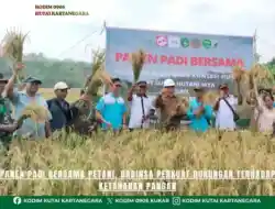 Panen Padi Bersama Petani, Babinsa Perkuat Dukungan Terhadap Ketahanan Pangan