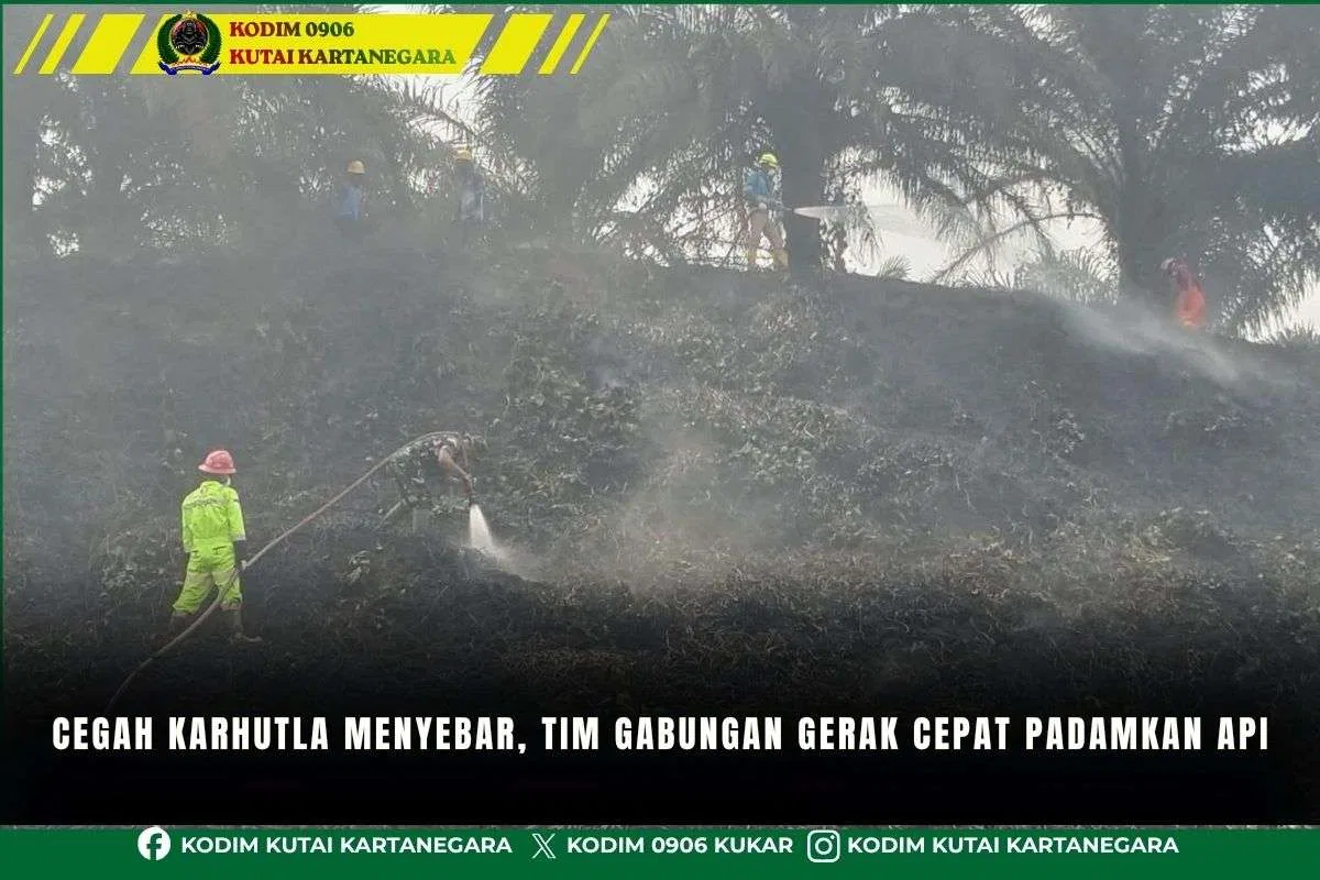 Cegah Karhutla Menyebar Tim Gabungan Gerak Cepat Padamkan Api